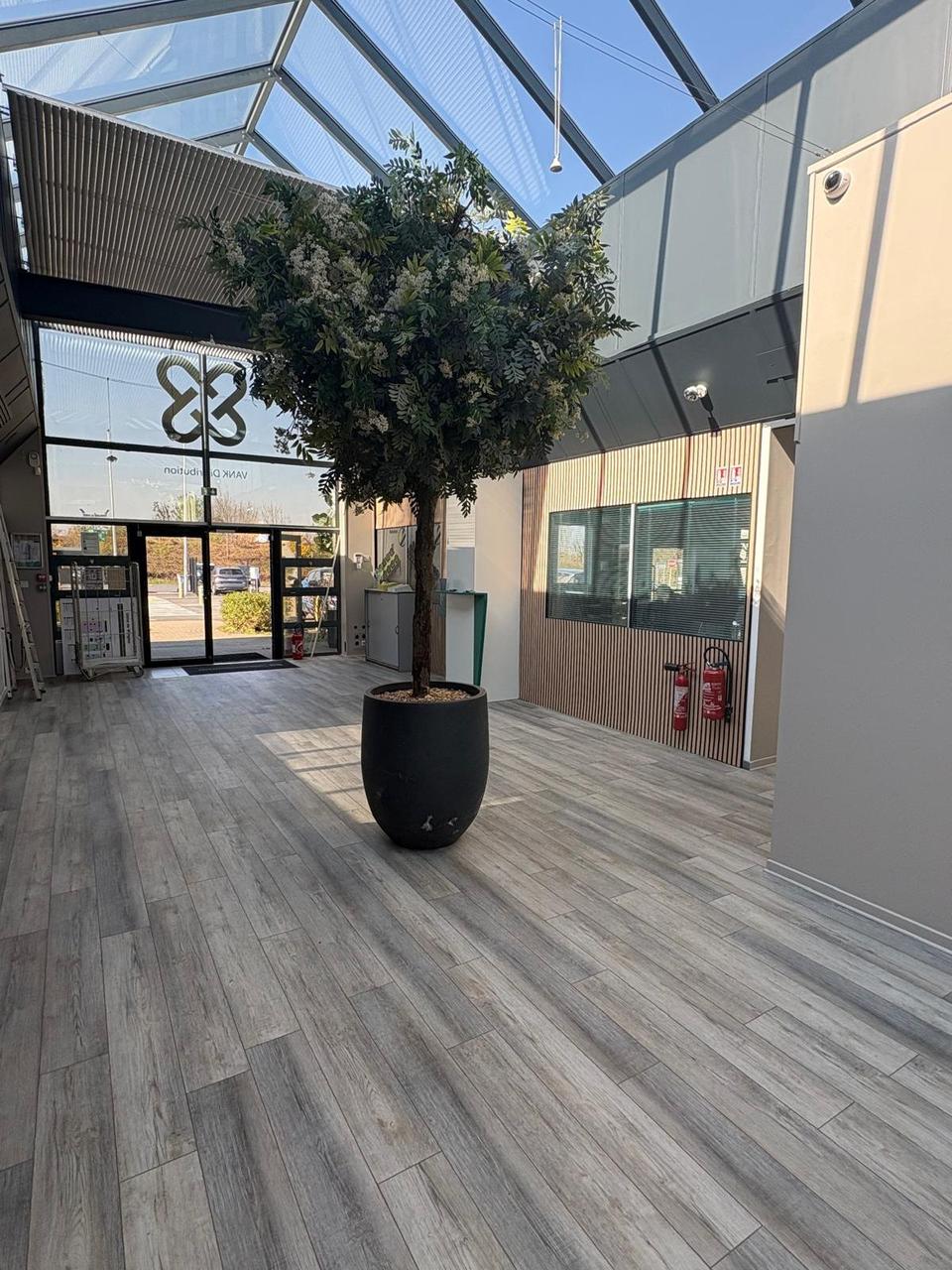 Création d'un showroom – hall d'entrée sous verrière et arbre décoratif